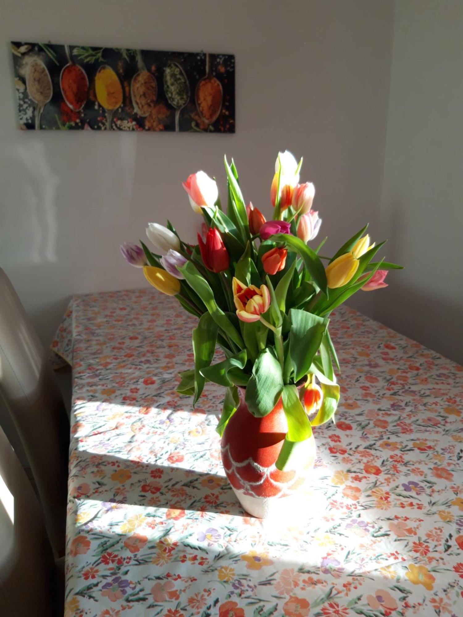 Ferienwohnung Im Seidlerhof Mit Balkon Und Garten Рёрнбах Экстерьер фото